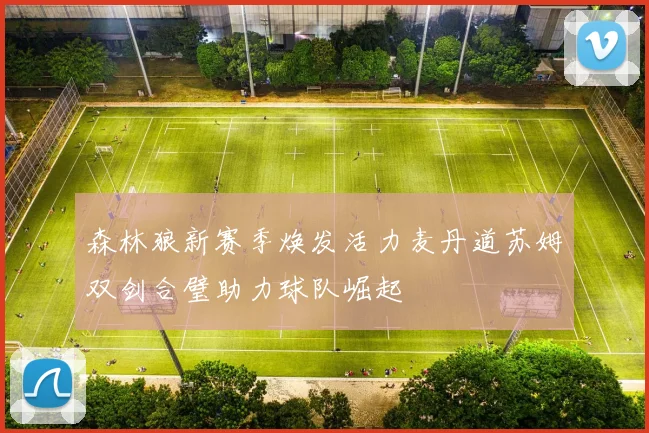 森林狼新赛季焕发活力麦丹道苏姆双剑合璧助力球队崛起